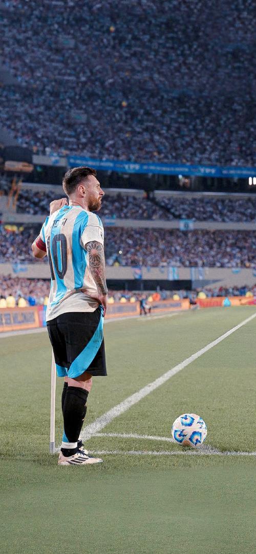 徐阳：邵佳一的融合与沟通能力强；希望更多年轻教练挺身而出（徐阳：邵佳一融合沟通出众，期待更多年轻教练站出来）